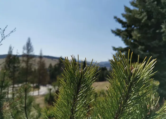 Pod Taborem מלון נידז'יקה זאמק